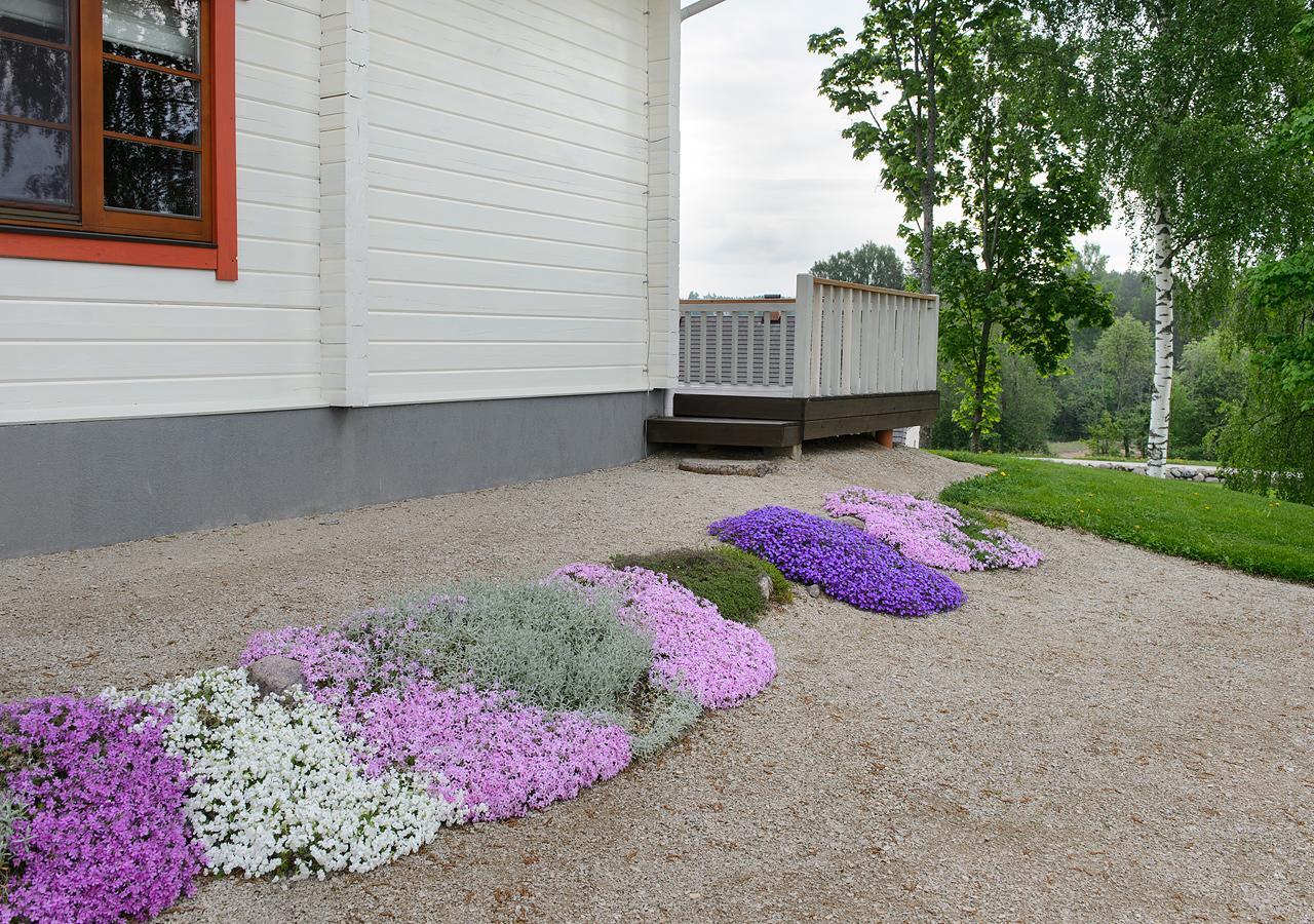Vahtseliina Vasekoja Holiday Center מראה חיצוני תמונה